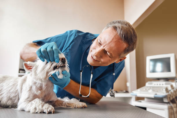 Best Same-Day Emergency Appointments in Oxford, MI